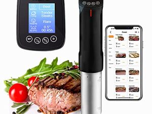 طباخ طهي للطهي Inkbird WiFi Sous Vide ، 1000 وات ، وصفة ، درجة حرارة دقيقة ومؤقت ، واجهة قابلة للبرمجة ، دائرة غمر حراري من الفولاذ المقاوم للصدأ للمطبخ